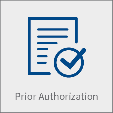 Prior Authorization Icon