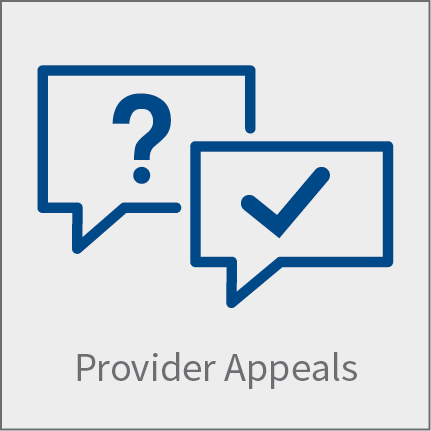 Provider Appeals Icon